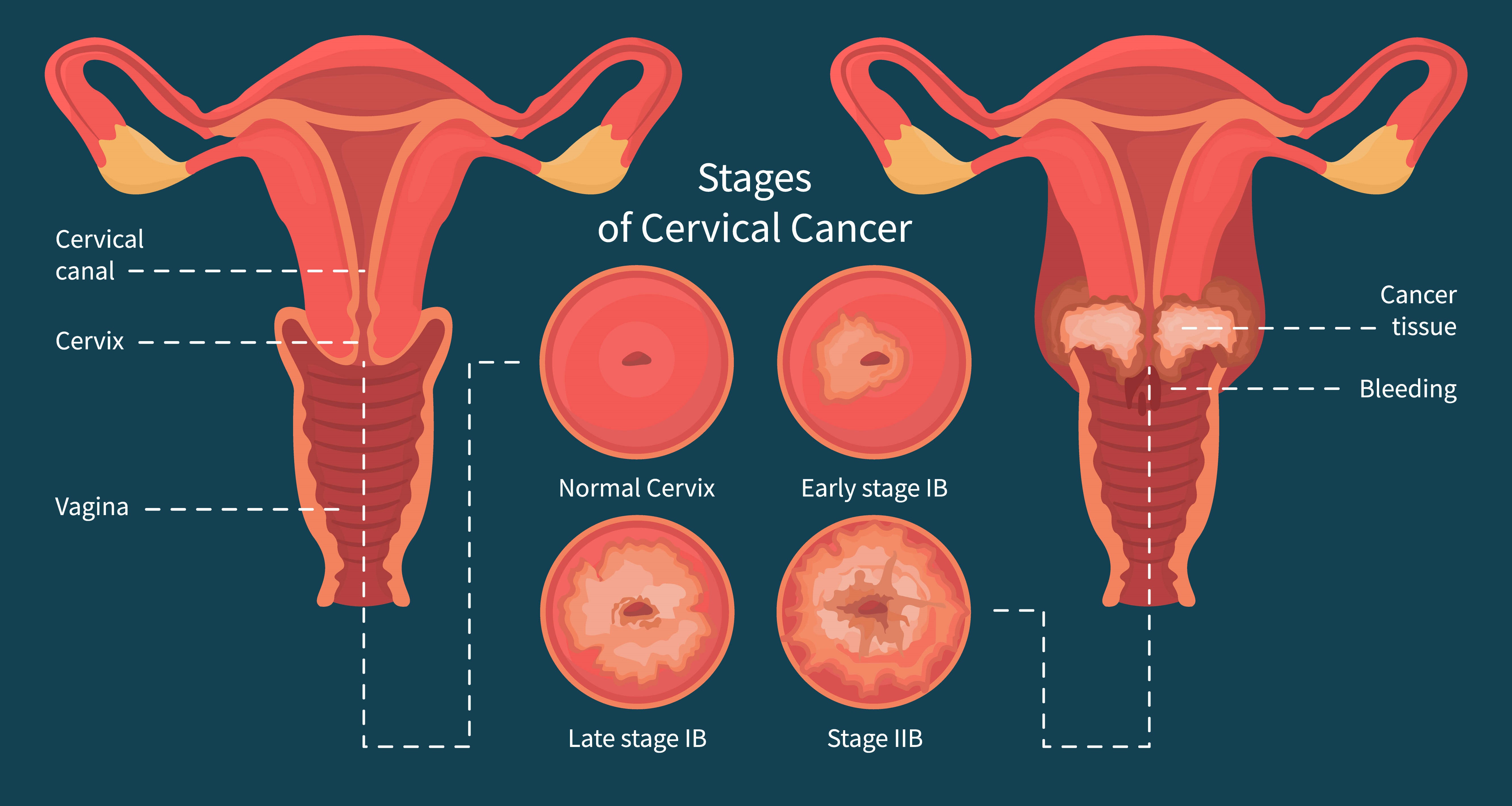 11097270_122 (1) (1).jpg